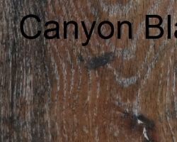 Canyon Black Oak